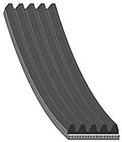 febi bilstein 37533 Keilrippenriemen, 1 Stück