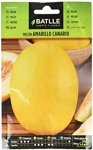 Semillas Batlle Melon AMARILLO CANARIO