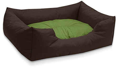 BedDog® Letto per Cane/Gatto Cuccia Mimi S Fino a XXXL, 26 Colori a Scelta, Cuscino, Divano, Cestino per Cane, Marrone/Verde L