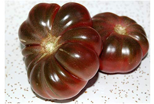 PREMIER SEEDS DIRECT - Tomato Seeds - Purple Calabash - 50 Finest Seeds (Organic/BIO)