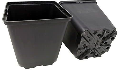 GREEN24 10 Stck. Pflanztöpfe 13x13x13cm Vierecktopf Profi Anzuchttopf Pflanztopf Blumentopf Vierkant-Töpfe (10, 13x13x13)
