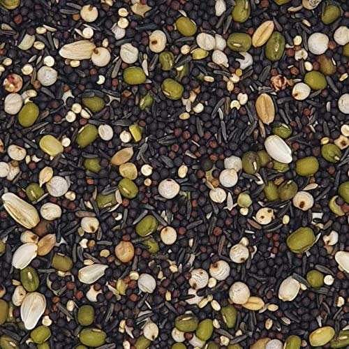 Keimfutter für Kanarien - Gladen 2,5kg