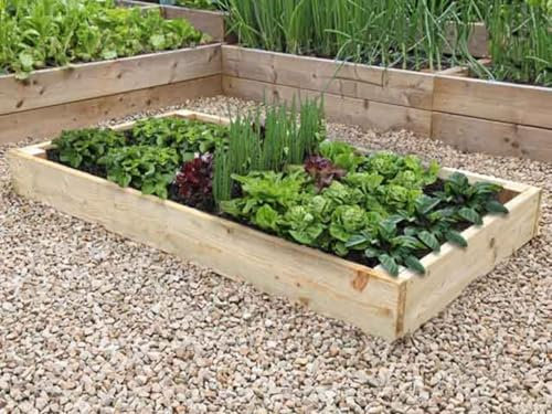 Premier Raised Garden Bed - 17.5cm High (240cm x 60cm)