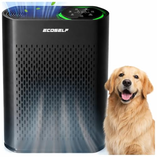 Air Purifier for Large Room, Cleans 2,400 ft² in 30 Mins, 3-Stage True HEPA, 360° Airflow, Large Touch Display Control, Real-Time Air Quality (PM2.5) Display, Ultra-Quiet 20dB Sleep Mode, HAP602 Black