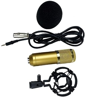 Milisten Bm-800 Kondensatormikrofon Gold mit Doppellagigem Gitter | Kunststoffgehäuse, Low Noise und Großmembraniger Tonkopf, für Konferenzen, Gesangsaufnahmen und Karaoke
