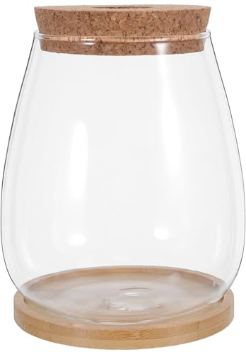 TOYANDONA Lot de 2 Sets de Sets de Vases Hydroponiques en Verre Transparent Grosse Taille avec Bouchon en Liège et Plateau en Bambou, Récipients pour Propagation de Plantes, Culture en Eau