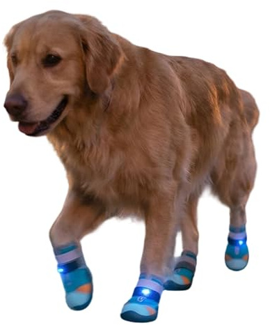 Zapatos para Perros de Exterior Suministros Transpirables Antideslizantes | Botas Brillantes con Luces para Gatos para Entrenamiento y Seguridad en Paseos Nocturnos en Asfalto Calien