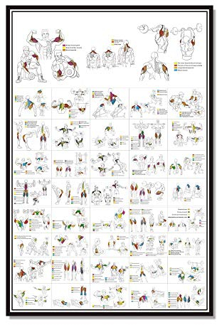 Ling88 Bilder,Poster,Kunstdrucke,Brust Hantel Workout Übung Poster ， Krafttraining Diagramm - Home Gym Gewichtheben Routine ， Bodybuilding Guide Guide Fitness Übung Wandbilder-30X40Cm