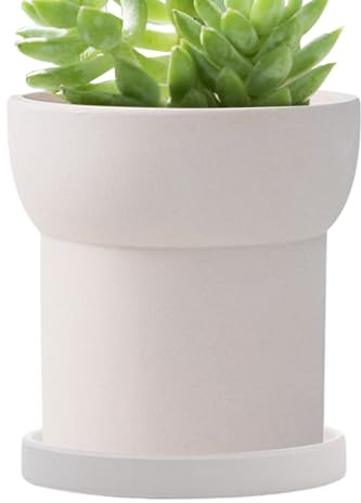 Maceta de cerámica, maceta esmaltada blanca, contenedor liso con agujeros de drenaje, maceta de 5.5 x 5.5 pulgadas para decoración de mesa, decoración de suelo, cactus, aloe, monstera, orquídea y