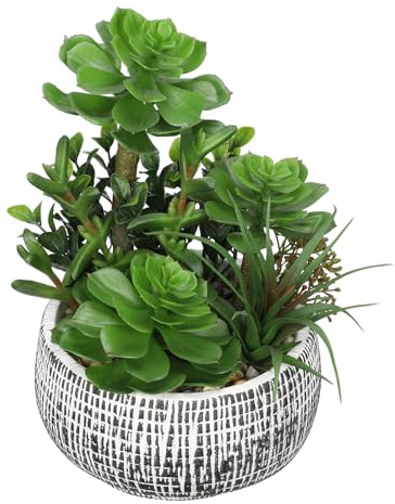Villa Como 10” Large Succulents Plants Artificial in Ceramic Pots Potted Faux Succulent Arrangement with Black Bowl Pots Fake Desk Succulents Plants for Home Bathroom Shelf Table Indoor Decor
