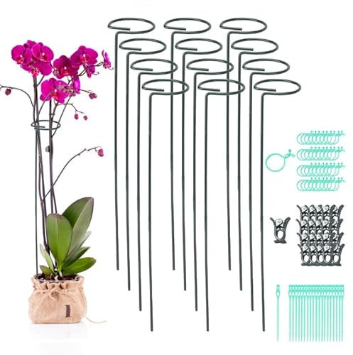 COEWUR 12 Pack Plant Support Stakes, 40 cm 16 inch Metal Garden Single Stem Flower Support Hoops Rings, Garden Plant Stems & Prop Supports with 40 Clips and 20 Ties for Amaryllis, Orchid, Lily, Rose,