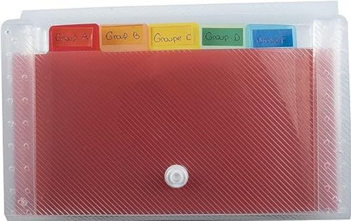 Exacompta 55498E - Clasificador pocket 6 compartimentos en polipropileno, 11 x 18 cm, blanco transparente