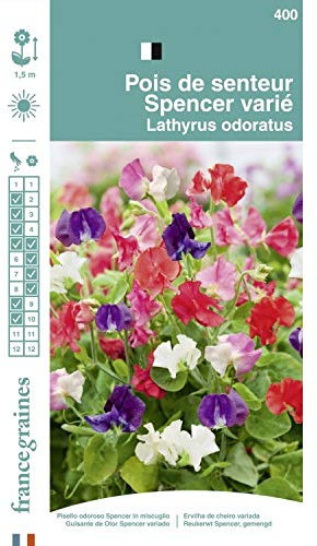 France Graines - Pois Senteur Spencer Mix
