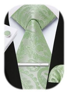 Enlision Herren Krawatten Salbei Grün Paisley Krawatte und Taschentuch Herrenkrawatten Einstecktuch