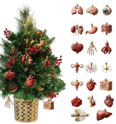 Anatomie Adventskalender 2D Anhänger 2025 Adventskalender 24-Tage