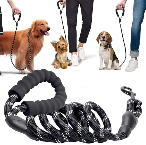 Buddywoof Hundeleine 3m, Leine für Große & Mittlere Hunde, Trainingsleine mit bequemen Griff, robuste & langlebige Schleppleine aus Nylon mit reflektierende für sorgenfreie Nachtwanderung