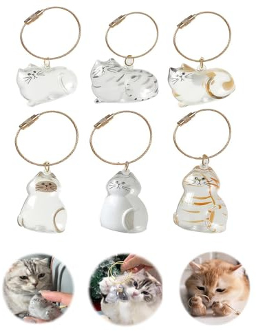 6 Porte-Clés Chat, Capsules Transparentes pour Conserver les Poils | Souvenir en poils d’animal, idée cadeau pour les amoureux des chats et des animaux de compagnie