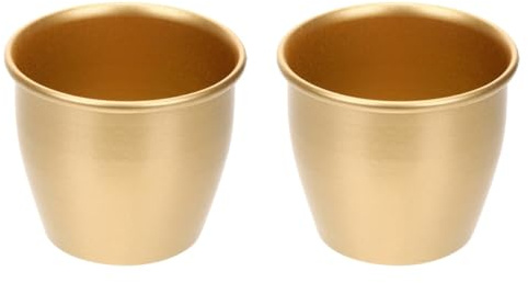 VICASKY 2 Stück Sukkulente Metallpflanzer Blumentopf Für Innenpflanzen Moderner Pflanzkübel Für Sukkulenten 3.27X3.27X5.51in Für Wohnzimmer Terrasse Garten Und Büro
