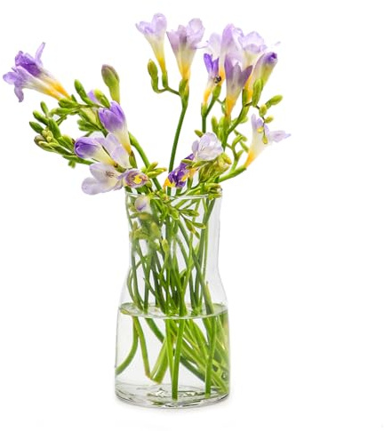 OFFIDIX Glasvase Transparent Modern Style Dekorative Glas Blumenvase für Wohnzimmer, Zuhause, Büro oder Hochzeit Dekoration