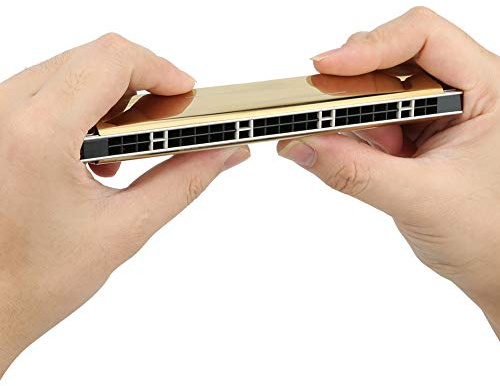 POENVFPO Professional 24-Hole Harmonica with 1.2mm Brass Base Plate, Phosphor Bronze Reeds, ABS Resin Comb, for Musicians and Beginners (G)