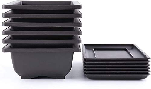 Bekith 6 Stück 23cm Bonsaischale Kunststoff Tief Blumentopf Quadratisch Pflanztopf mit Tablett für Garten Pflanzen Hof Wohnen Zimmer Balkon Büro