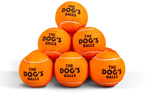 The Dog's Balls Hundetennisbälle Robust 6,3 cm 12er-Pack Orange Schwimmfähig