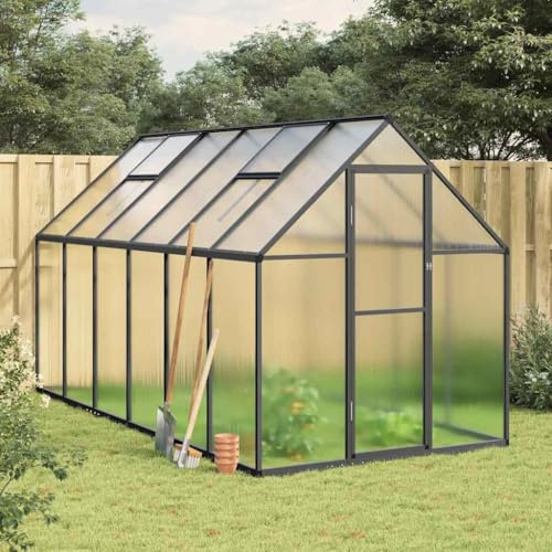 Générique Serre avec Cadre de Base Anthracite 334x169x195 cm Aluminium,Maison & Jardin,Pelouses & Jardins,Jardinage,Serres de Jardin,Anthracite,47.5 KG,3266328