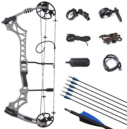 ZSHJGJR Compound Bogen Set Bogenset für Bogenschießen Sportbogen Verstellbarer Jagd Compoundbogenset 30-70 lbs 320fps Jagdausrüstung mit Komplettes Zubehör Kit (Grau/Typ 2)