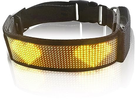 LED-Hundehalsband, Wiederaufladbares, Leuchtendes Sicherheitshalsband für Hunde, über Bluetooth Programmierbar, APP-gesteuert, Personalisierter Text und Grafiken (Gelb)