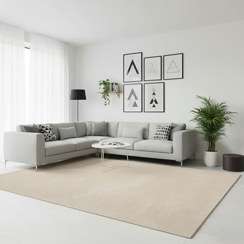 RUGURA Alfombra de Salón Dormitorio Habitación Comedor Pelo Corto y Suave 120x170cm Beige Unicolor Moderna Nordica Lavable Antideslizante