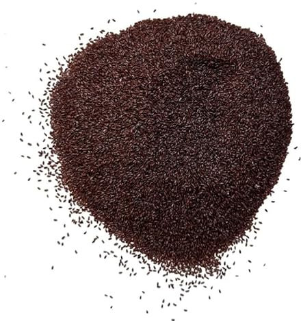 Tisane Psyllium Noir semence 250 GRS Plantago psyllium