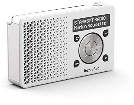 TechniSat DIGITRADIO 1 – tragbares DAB+ Radio mit Akku (DAB, UKW, Lautsprecher, Kopfhöreranschluss, Favoritenspeicher, OLED Display, klein, 1 Watt RMS), Silber