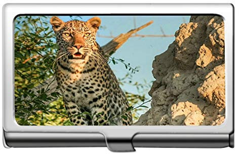 Business Name Card Holder, Leopard Leopard Business Kreditkarteninhaber