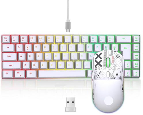 DIWUCXCA Clavier de Jeu Filaire à 60% et Combo de Souris Fixé Le Clavier et la Souris Blanches pour Un Ordinateur Portable PC Utilisation(V200(T90) W)