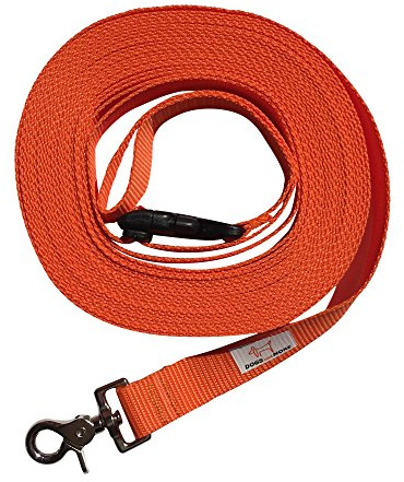DOGS and MORE - VERLÃNGERBARE Schleppleine mit LÖSBARER Handschlaufe - Basis 10 Meter (Orange; 25 mm breit) / Suchleine/Feldleine