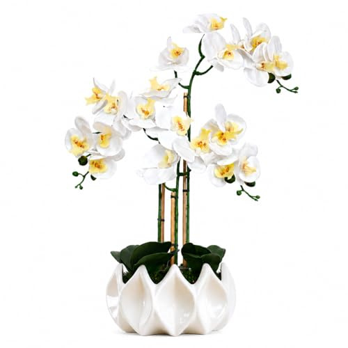 BelaLusa® Künstliche Orchideen wie echt 70 cm – Handgefertigte Phalaenopsis Kunstorchidee im weißen Keramik-Topf mit echtem Bambus, pflegefrei ohne Gießen – Deko (Weiß)