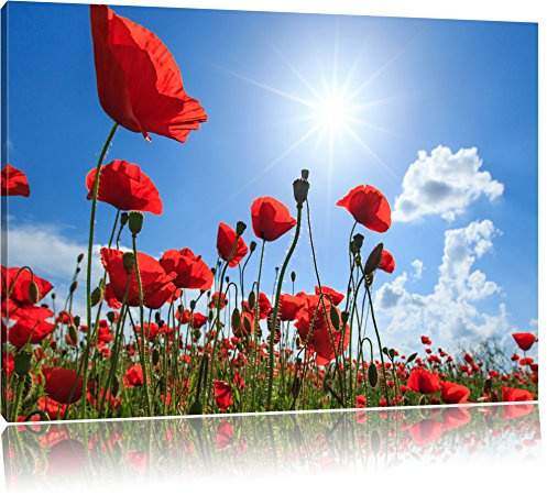 Pixxprint Mohnblumen, Größe: 120x80cm, Leinwandbild, fertig gespannt, Wandbild, Dekoration, Kunstdruck, kein Poster