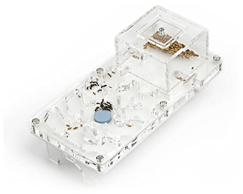 AntHouse - Ant Farm Educational Kit - Pilzmodell - 10x20x1,3 cm - Transparent - Freie Ameisen