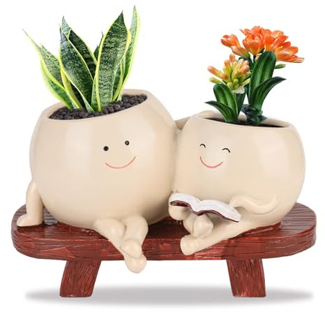 YYTECH Maceta con cara sonriente, columpio grande, maceta para plantas, macetas divertidas para interiores, columpio, maceta con orificio de drenaje, 2 macetas con plantas suculentas