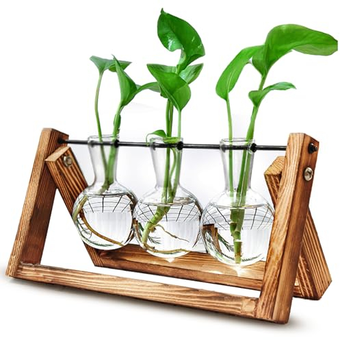 Surmounty Kleine Vase Glas Mini Terrarium mit Holz Rahmen für Home Büro Regal Tischdeko Fensterbank - Blumenvase Vintage Deko für Plant Hydrokultur