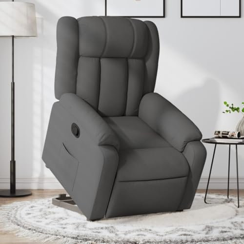 Homgoday Relaxsessel mit Aufstehhilfe Fernsehsessel Aufstehsessel Verstellbar Sessel Ruhesessel Polstersessel mit Liegefunktion Relaxsessel TV Sessel Wohnzimmer Dunkelgrau Stoff