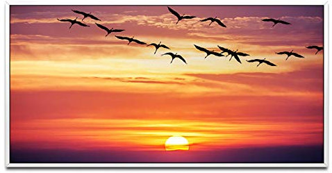Vögel im Sonnenuntergang ca. 130x70cm Wandbild inklusive Schattenfugenrahmen weiss - Panorama Leinwand Bild XXL Format Wandbilder Wohnzimmer Wohnung Deko Kunstdrucke