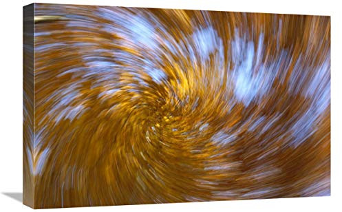 16 x 24 in. European Beech Abstract of Autumn Colors, Germany Art Print - Konrad Wothe