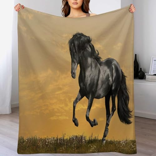 AASWDDS Couverture Polaire Cheval, en Flannel Douce Chaude Et Confortable, pour Canapé Ou Lit. Linge De Lit Couvre-lit Couvertures 100×130cm
