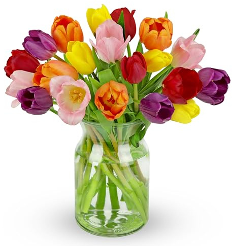 Benchmark Bouquets Rainbow Tulips – Mothers Day Flowers for Delivery – Fresh Tulips Bouquet for Mom – Birthday & Graduation Gifts for Women – Fresh Flowers – Glass Vase Included (20 Stems)
