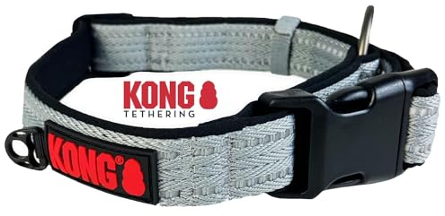 KONG Nylon Hundehalsband für große Hunde I Größe L I größenverstellbares Halsband Hund in grau I gepolstertes Halsband für Hunde mit Verschluss-Schnalle I reflektierendes Hundehalsband Nylon