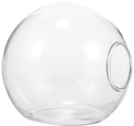 SEWOART Hängevase Aus Glas Wandpflanzer Für Hydrokultur Heimdekor Blumenhalter Wanddekoration Fürs Haus