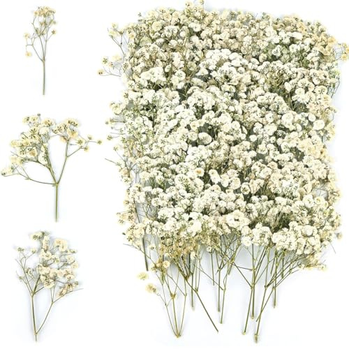 130 Stück Schleierkraut Getrocknet, Trockenblumen Schleierkraut, Trockenblumen zum Basteln, Getrocknete Blumen Klein für DIY Fotorahmen, Lesezeichen, Grußkarten