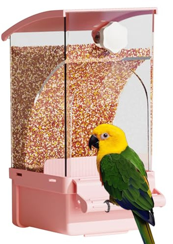 Alimentador Automático para Pájaros – Distribuidor Al Aire Libre Inteligente, Estación Colgante Resistente A La Lluvia, Contenedor De Gran Capacidad con Ventana Transparente | Dispositivo De Alimentos