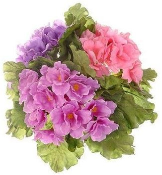 Floralsilk Limited African Violet Bush Assorted
